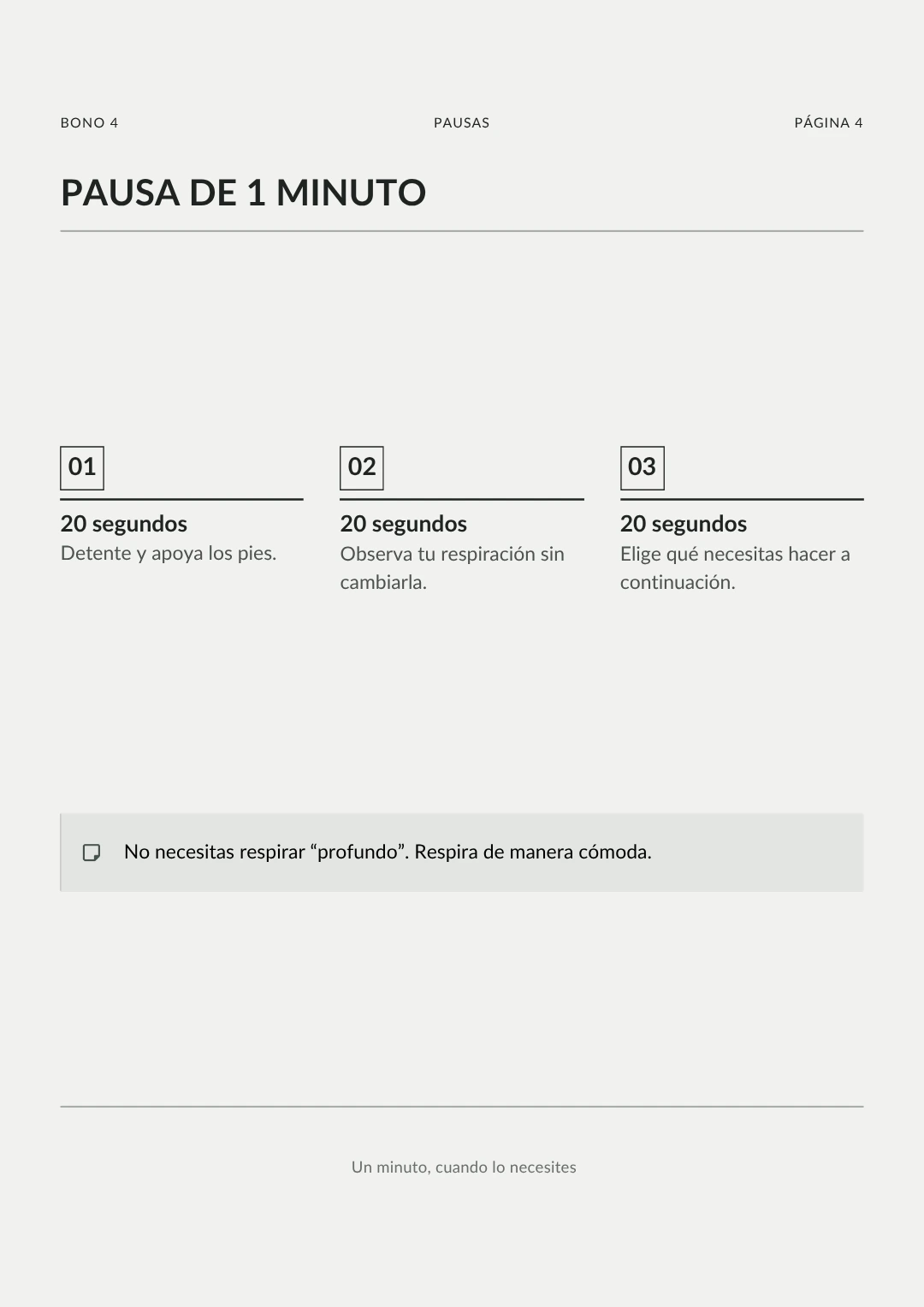 Página interna 6